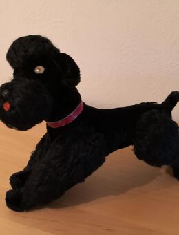 STEIFF-Pudel,ca.22 cm hoch,gepflegter Zustand,60er Jahre - Haltern (See) Zentrum