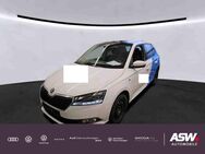 Skoda Fabia, 1.0 TSI Ambition Best of Drive 125, Jahr 2020 - Sinsheim