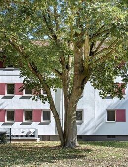 Komplett renovierte 2-Zimmer-Wohnung in Herne Wanne-Süd - Herne