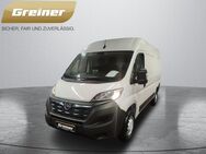 Opel Movano, Cargo Edition L2H2 ||||, Jahr 2022 - Deggendorf