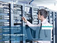 Web Developer (m/w/d) - Großenseebach