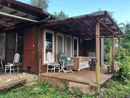 Ferienhaus auf pflegeleichtem Grundstück im Wald - Hitzacker (Elbe)