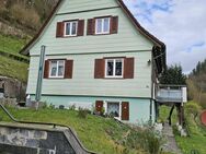 Tolle Aussicht, ruhige Lage! - Triberg (Schwarzwald)