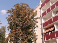 Renovierte 4 Zimmer mit Duschbad und Balkon - Halle (Saale)