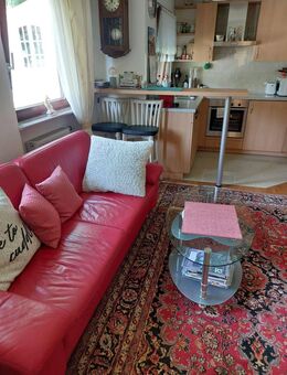 SINDELFINGEN 2 Zi.Whg.ca.59m2 möbliert tip top EBK DU.Parkett ruhig hell sonnig 700.,zzgl.NK pauschal 150.-warm 850,- - Sindelfingen