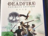 PS 4 Pillars of Eternity Ultimate Edition - Wasbek