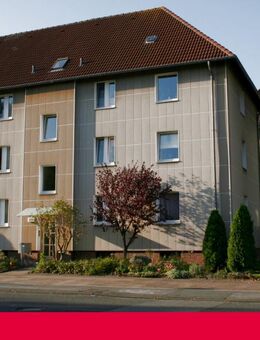 Gut und günstig - "Freie Scholle eG" - Bielefeld