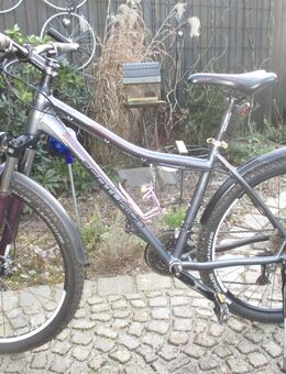 Alu - Marken - MTB ( CENTURION, wegen Umstieg auf E-Bike ) - Germering Zentrum