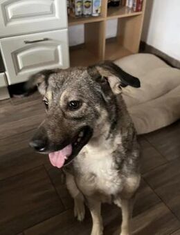 Cora ♥️ - Sindelfingen