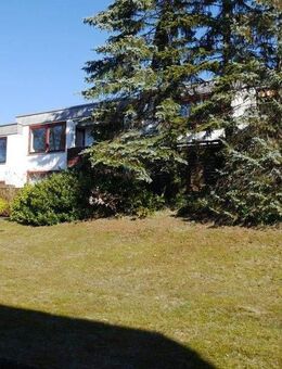 Smarter Wohnen: interessante 3-Zimmer-Wohnung - Buchholz (Nordheide)