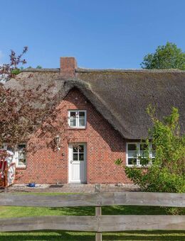 **Traum unter Reet - direkt am Olversumer Eiderdeich** - Tönning