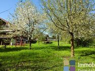 IPA - Ein Traum aus Holz! 1-2 Familienhaus auch als Mehrgenerationenhaus mit tollem Obstgarten wartet auf Sie! - Eschweiler