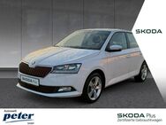 Skoda Fabia, COOL PLUS, Jahr 2020 - Nordhausen