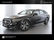 Mercedes E 220, 4.9 d T Avantgarde DigitalLight, Jahr 2024 - Freiberg