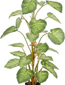 Kunstpflanze Syngonium, Creativ green, Höhe 90 cm, mit schönem Blattwerk