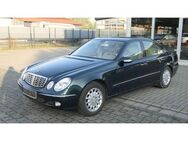 Mercedes-Benz E 320 Elegance AHK/8xAlu/Sitzbelüftung/Navi - Adelheidsdorf