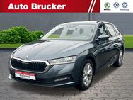 Skoda Octavia, 2.0 TDI Combi Ambition 3-Zonen, Jahr 2021 - Schmalkalden