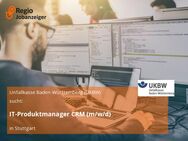 IT-Produktmanager CRM (m/w/d) - Stuttgart