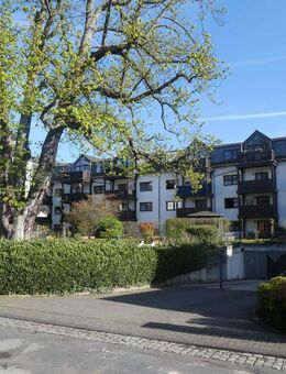 Gut aufgeteilte Wohnung mit Sonnenbalkon in bester Lage Trier-Ost, unmittelbar am Palastgarten - Trier