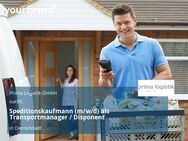 Speditionskaufmann (m/w/d) als Transportmanager / Disponent - Diemelstadt