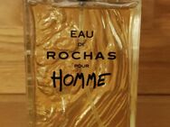 EAU DE ROCHAS POUR HOMME EAU DE TOILETTE 100ml VINTAGE SPRAY - Wesel