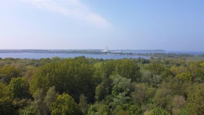 Kleines Einfamilienhaus auf großzügigem und idyllischem Grundstück