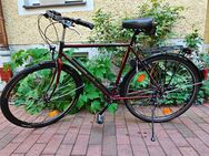 Schönes 28er Herren Trekking Fahrrad MTB 21 Gang Shimano TOP Zustand! - München