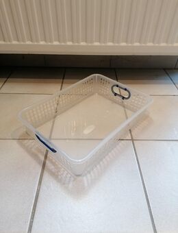 Ablagekorb - Sassenberg Zentrum