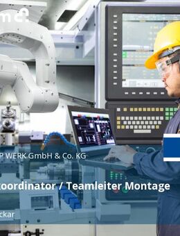 Montagekoordinator / Teamleiter Montage (m/w/d) - Sulz (Neckar)