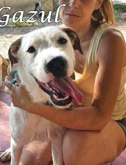 Gazul - ein Charakterhund 06/19 ESP - Ruppertsecken
