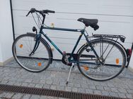 Herkules Fahrrad Herren 28 Zoll citybike - Poppenricht