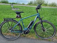 Pedelec Kreidler Vitaly Eco 6 - Bodenheim