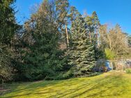 Das Haus der vielen Möglichkeiten, mit eigenem kleinen Wald AN-OT - Ansbach