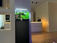 Aquarium Dennerle 55Liter - Papenburg