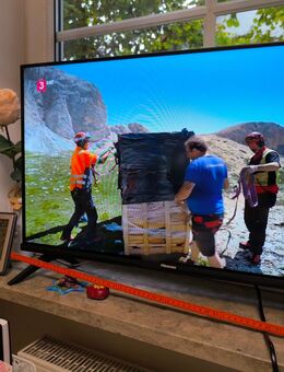 Hisense TV 32 Zoll - Moosinning