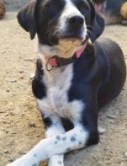 Menschenbezogene Frida - Ellerbek