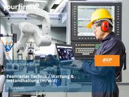 Teamleiter Technik / Wartung & Instandhaltung (m/w/d) - Barleben