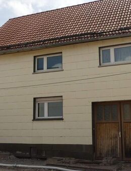 Immobilie für Haus- und Hof-Handwerker mit einigermaßen Begabung - Wölfis