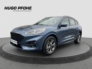 Ford Kuga, 1.5 ST-Line EB, Jahr 2023 - Bad Segeberg