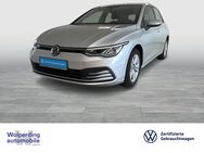 VW Golf, 1.5 TSI VIII Life, Jahr 2020 - Winsen (Luhe)