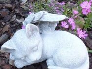 Gartenfigur und Tiergräber Katzengrab Figur mit Engelsflügeln - Uslar Zentrum