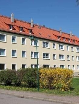 Helle, großzügige 3 Raum Dachgeschoßwohnung - Ostrau