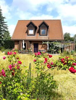 Pinnow - Einfamilienhaus auf traumhaftem Grundstück zu verkaufen - Pinnow (Mecklenburg-Vorpommern)