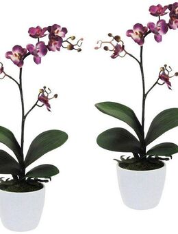 Kunstpflanze Orchidee Phalaenopsis Orchidee, Creativ green, Höhe 55 cm, im Keramiktopf