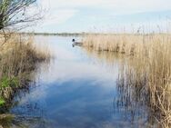 3 Wohnhäuser gegenüber dem Göttinsee mit gut vermieteten 9 Wohnungen zu verkaufen (provisionsfrei) - Werder (Havel)