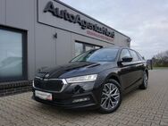 Skoda Octavia, 1.0 l TSI Tour, Jahr 2023 - Großenkneten