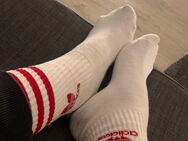 Getragene Socken 15 Euro und getragene Strings 20 Euro - Magdeburg