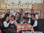 Das Original Oberkrainer Quintett Avsenik* – Lustig Beim Wein In Oberkrain - Dinslaken