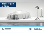 VW T6.1, 2.0 TDI Kasten 81kW EPH FLÜGEL, Jahr 2021 - Bietigheim-Bissingen