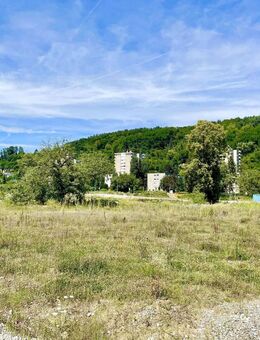 Großes Wohnbaugrundstück für ein Mehrfamilienhaus mit bis zu 14 Wohneinheiten - Grenzach-Wyhlen